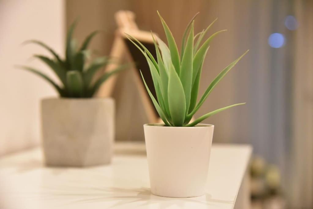 Tiny Treasure Apartment เอเธนส์ ภายนอก รูปภาพ